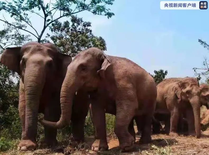 图片 1.jpg