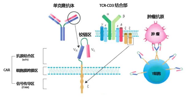 图片 1.jpg