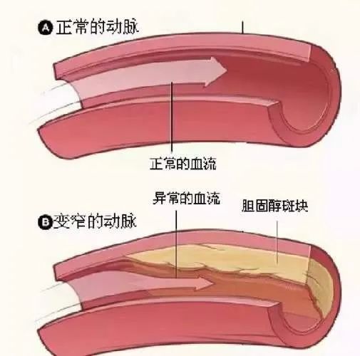 2bd58545ec71e43bafb3596d65abccf6.jpg