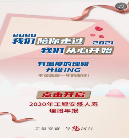 2020年工银安盛理赔报告